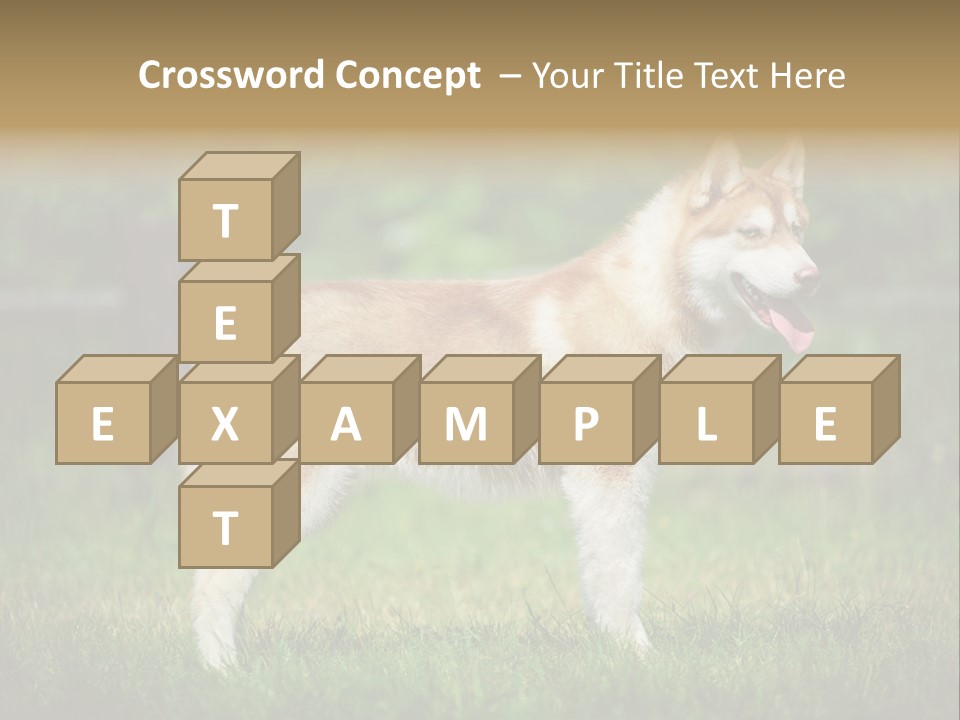 A Brown And White Dog Standing On Top Of A Lush Green Field PowerPoint Template