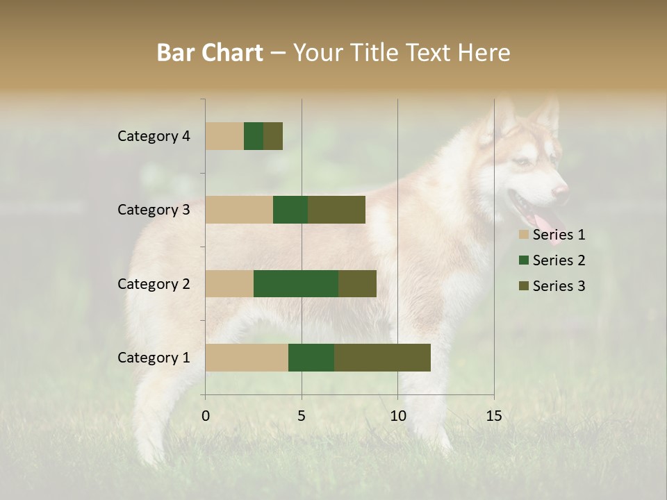A Brown And White Dog Standing On Top Of A Lush Green Field PowerPoint Template