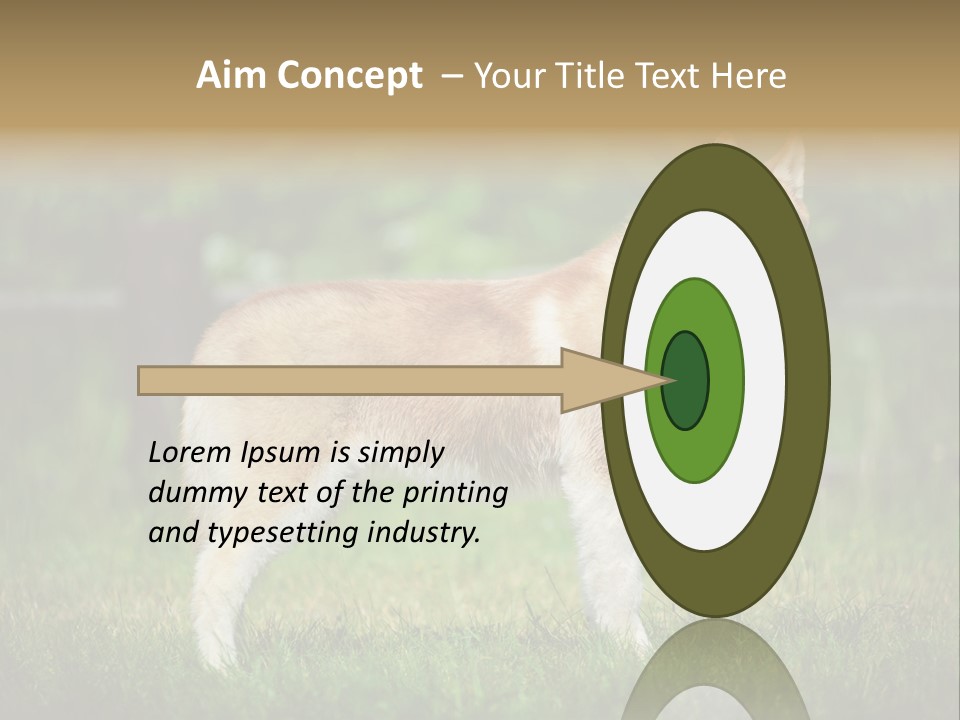 A Brown And White Dog Standing On Top Of A Lush Green Field PowerPoint Template