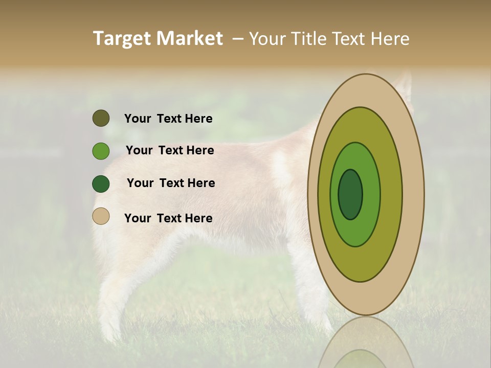 A Brown And White Dog Standing On Top Of A Lush Green Field PowerPoint Template