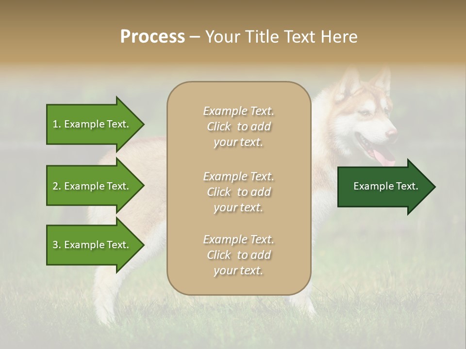 A Brown And White Dog Standing On Top Of A Lush Green Field PowerPoint Template