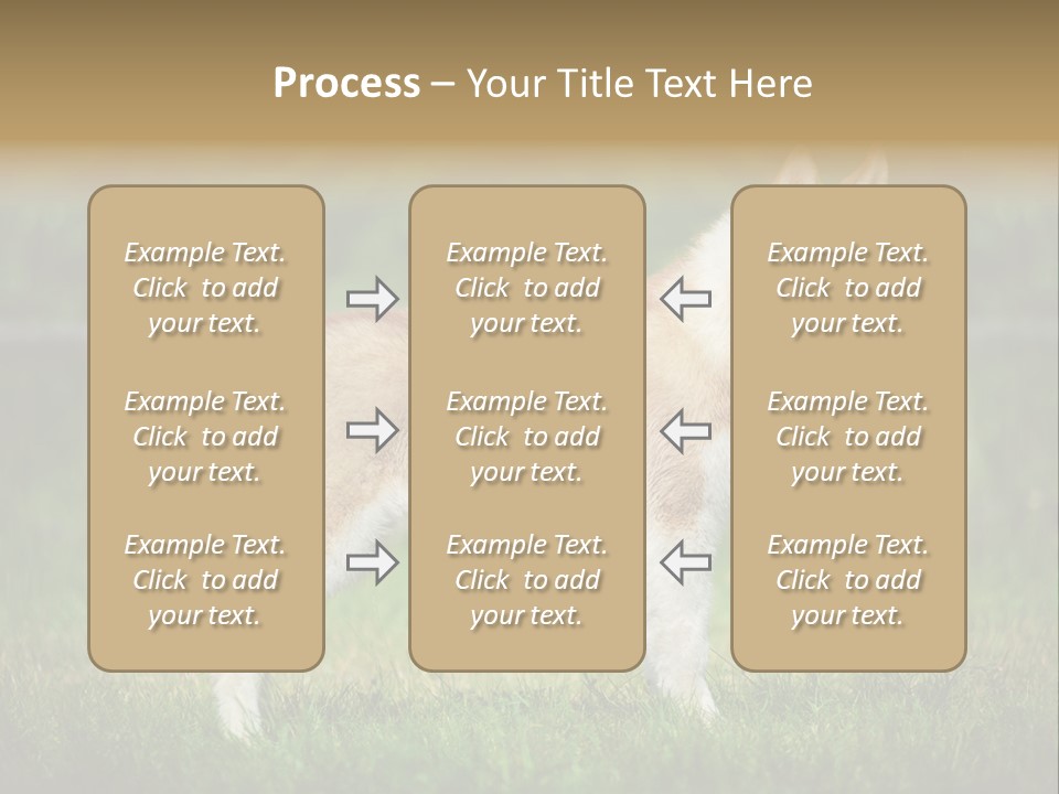 A Brown And White Dog Standing On Top Of A Lush Green Field PowerPoint Template