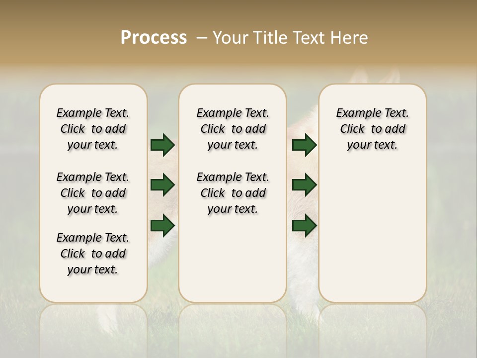A Brown And White Dog Standing On Top Of A Lush Green Field PowerPoint Template