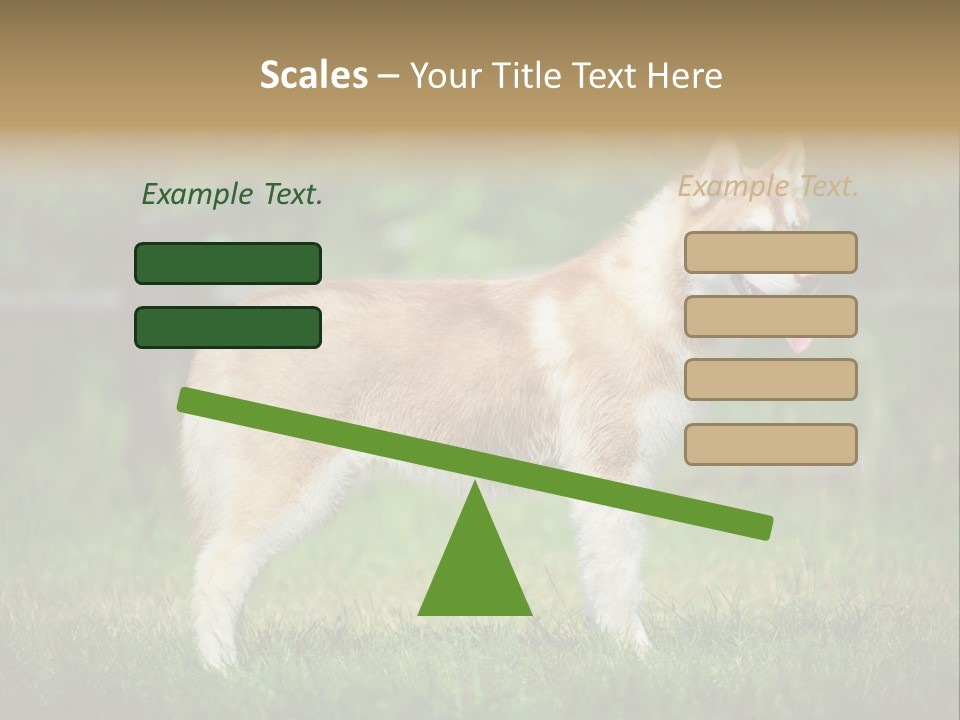 A Brown And White Dog Standing On Top Of A Lush Green Field PowerPoint Template
