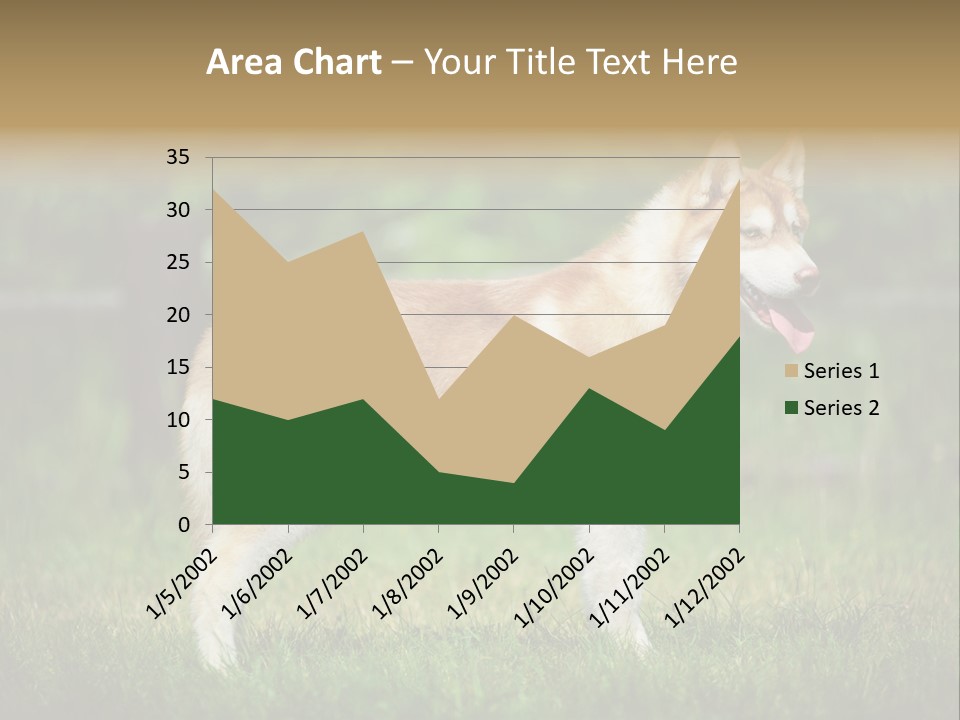 A Brown And White Dog Standing On Top Of A Lush Green Field PowerPoint Template