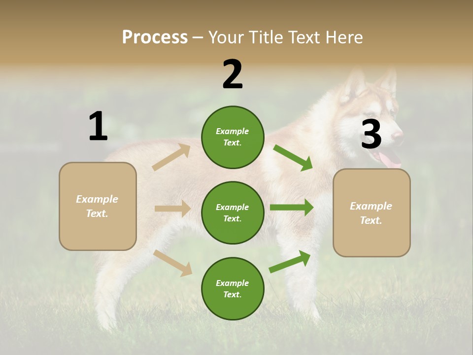 A Brown And White Dog Standing On Top Of A Lush Green Field PowerPoint Template