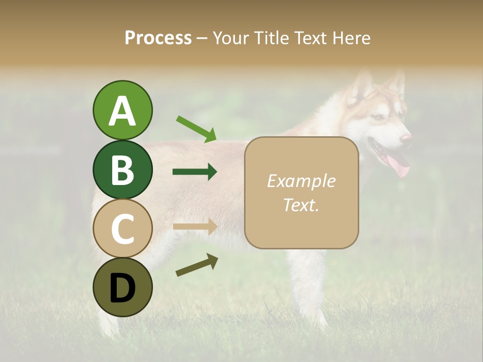 A Brown And White Dog Standing On Top Of A Lush Green Field PowerPoint Template