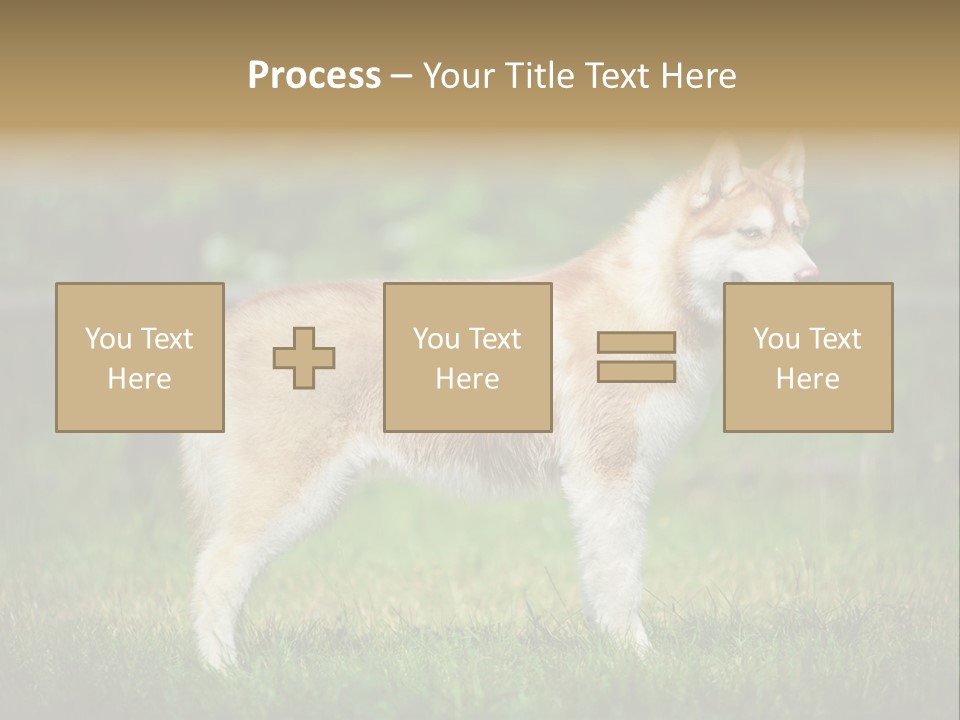 A Brown And White Dog Standing On Top Of A Lush Green Field PowerPoint Template