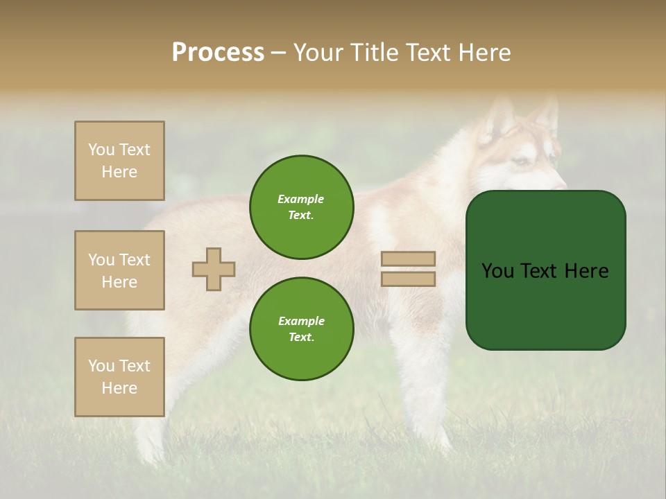 A Brown And White Dog Standing On Top Of A Lush Green Field PowerPoint Template