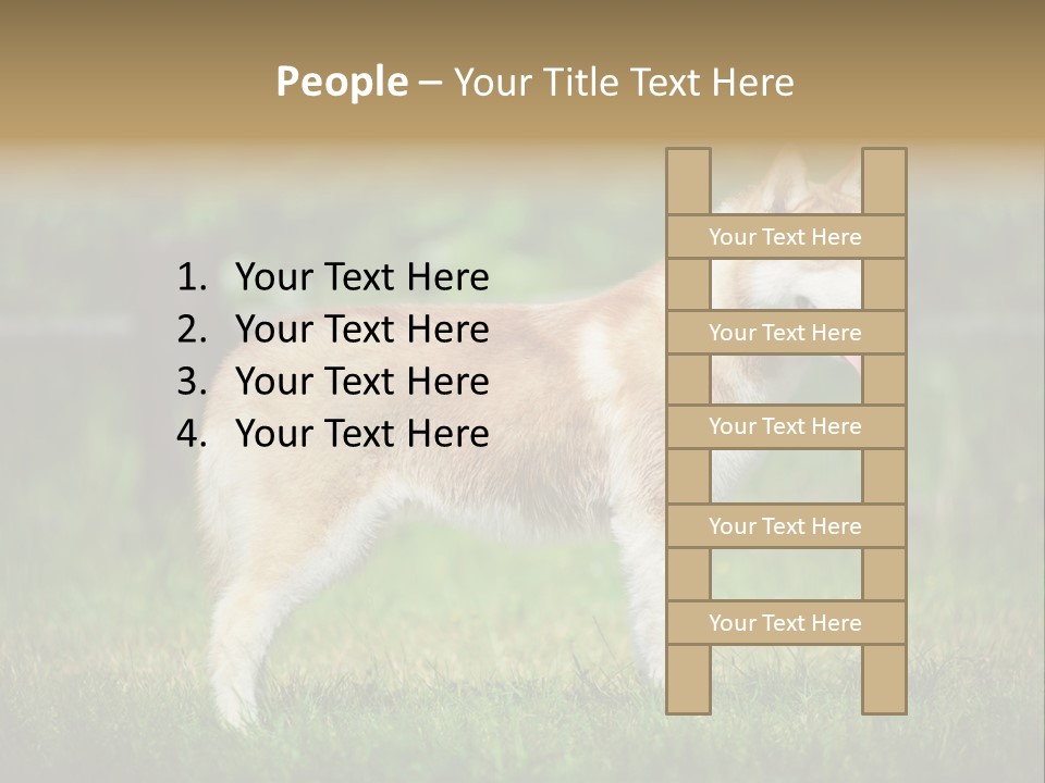 A Brown And White Dog Standing On Top Of A Lush Green Field PowerPoint Template