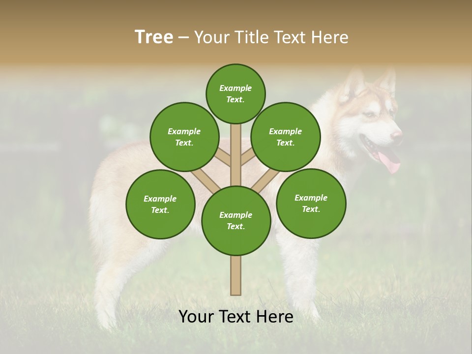 A Brown And White Dog Standing On Top Of A Lush Green Field PowerPoint Template