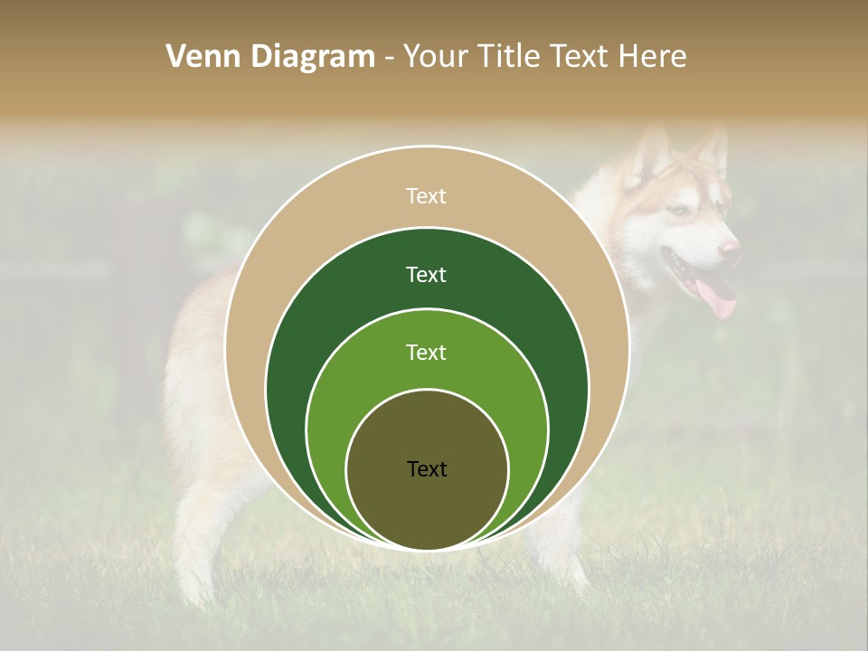 A Brown And White Dog Standing On Top Of A Lush Green Field PowerPoint Template
