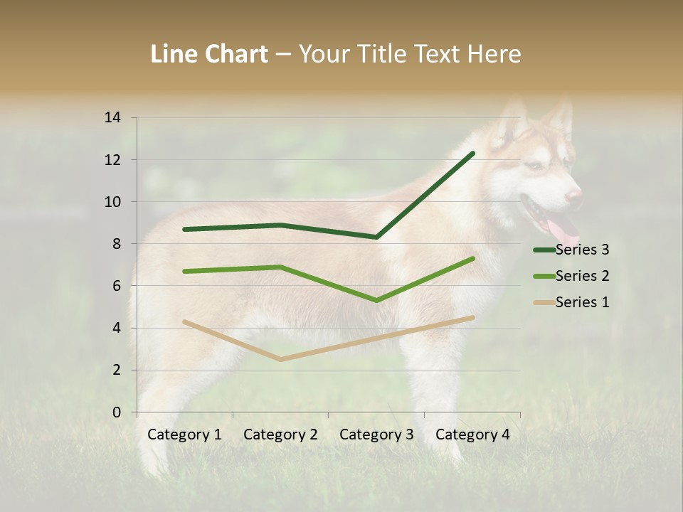 A Brown And White Dog Standing On Top Of A Lush Green Field PowerPoint Template