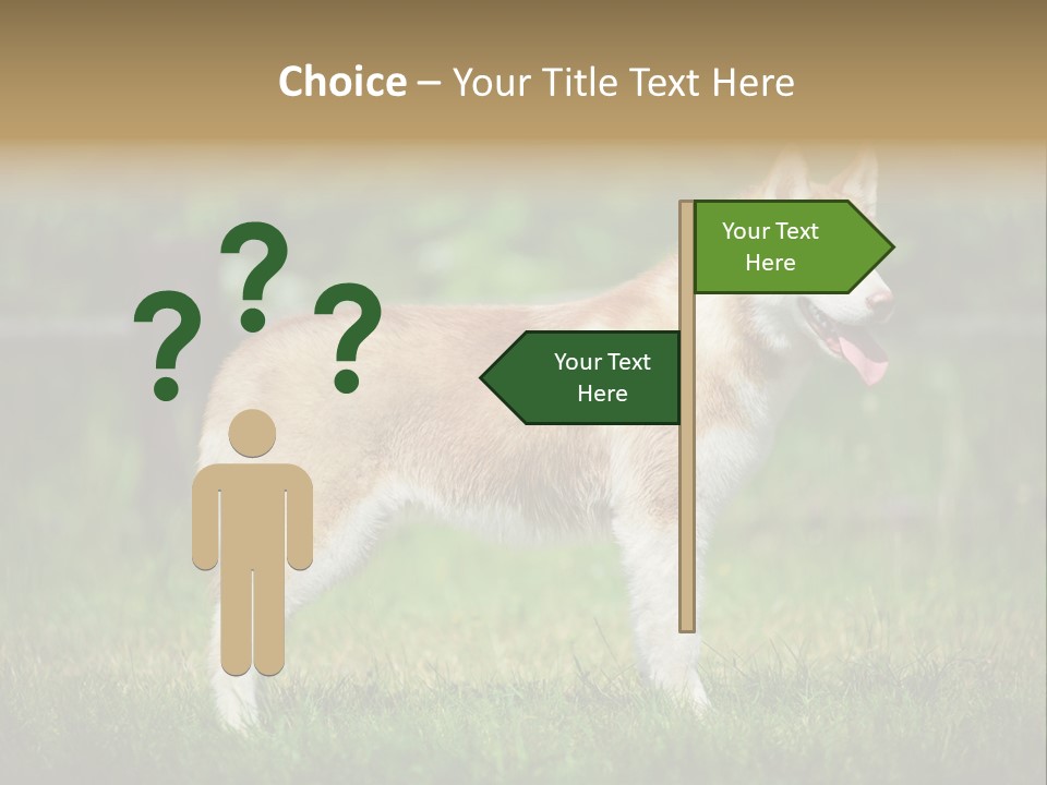 A Brown And White Dog Standing On Top Of A Lush Green Field PowerPoint Template