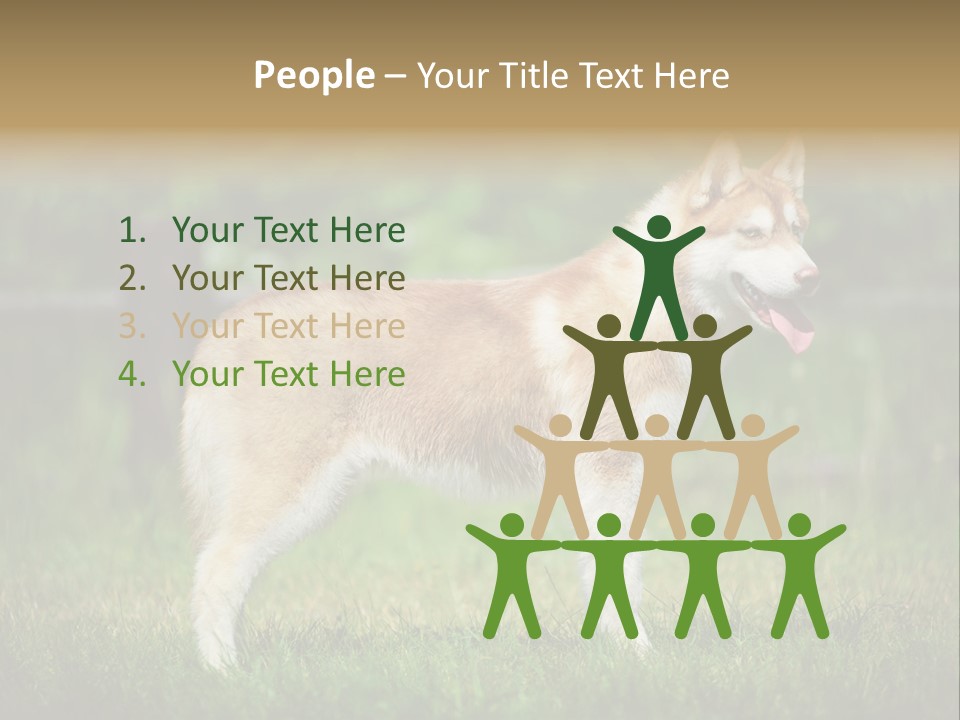 A Brown And White Dog Standing On Top Of A Lush Green Field PowerPoint Template