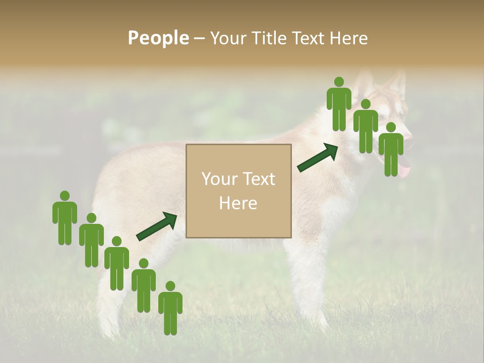 A Brown And White Dog Standing On Top Of A Lush Green Field PowerPoint Template