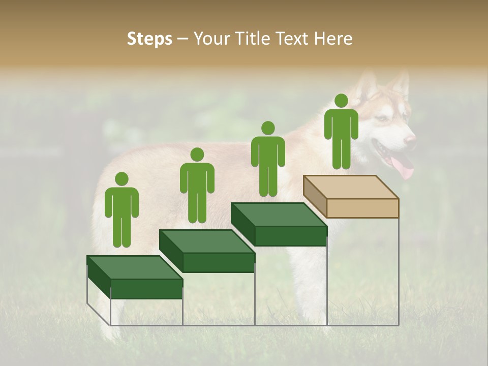 A Brown And White Dog Standing On Top Of A Lush Green Field PowerPoint Template