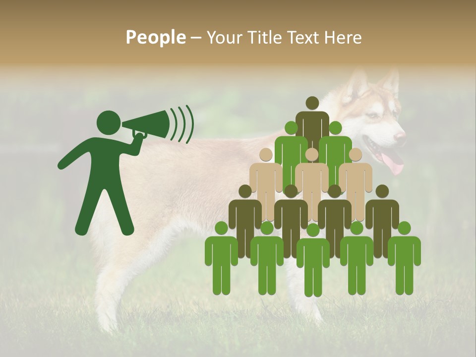 A Brown And White Dog Standing On Top Of A Lush Green Field PowerPoint Template
