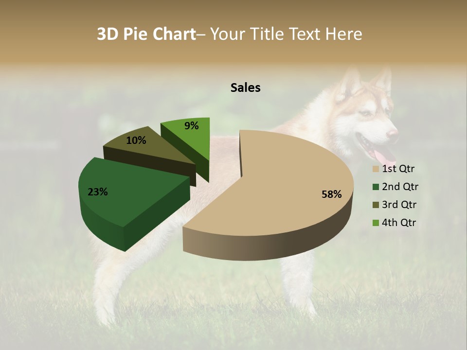 A Brown And White Dog Standing On Top Of A Lush Green Field PowerPoint Template