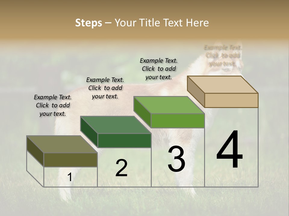 A Brown And White Dog Standing On Top Of A Lush Green Field PowerPoint Template