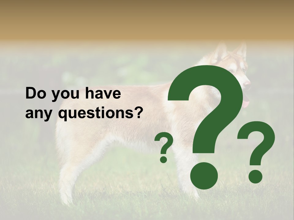 A Brown And White Dog Standing On Top Of A Lush Green Field PowerPoint Template