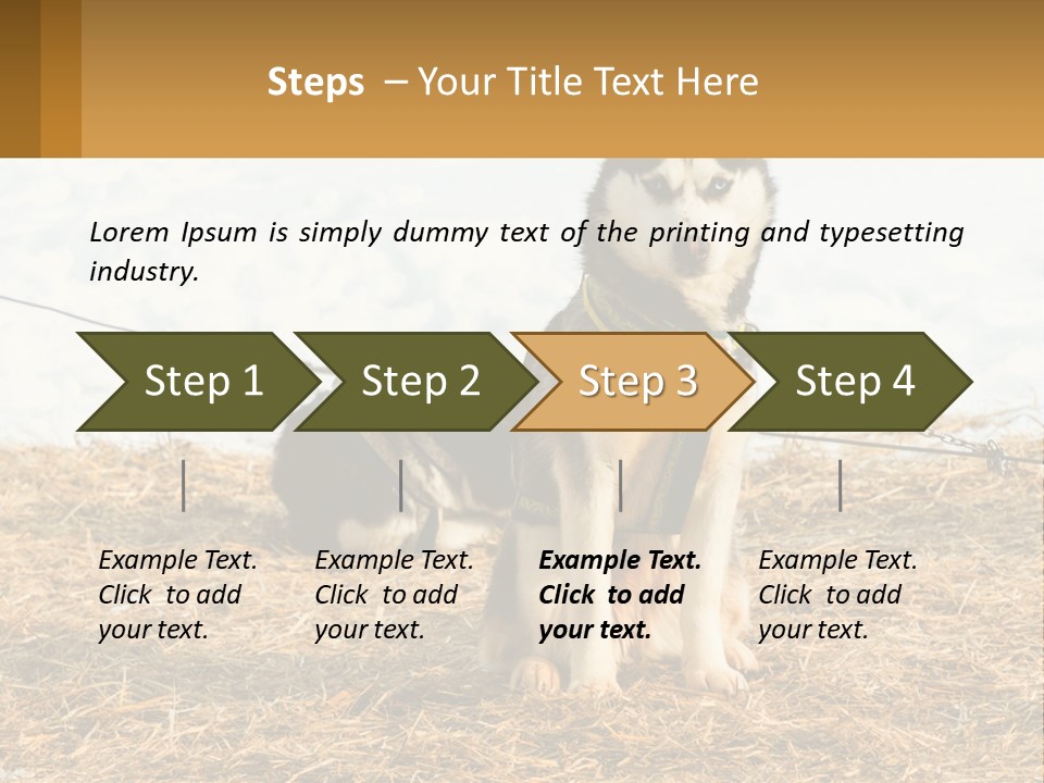 A Husky Dog Is Tied To A Chain PowerPoint Template