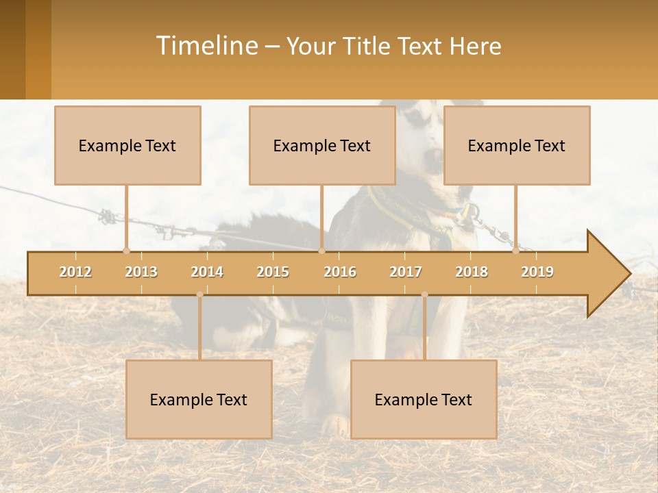 A Husky Dog Is Tied To A Chain PowerPoint Template