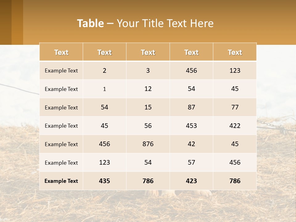 A Husky Dog Is Tied To A Chain PowerPoint Template