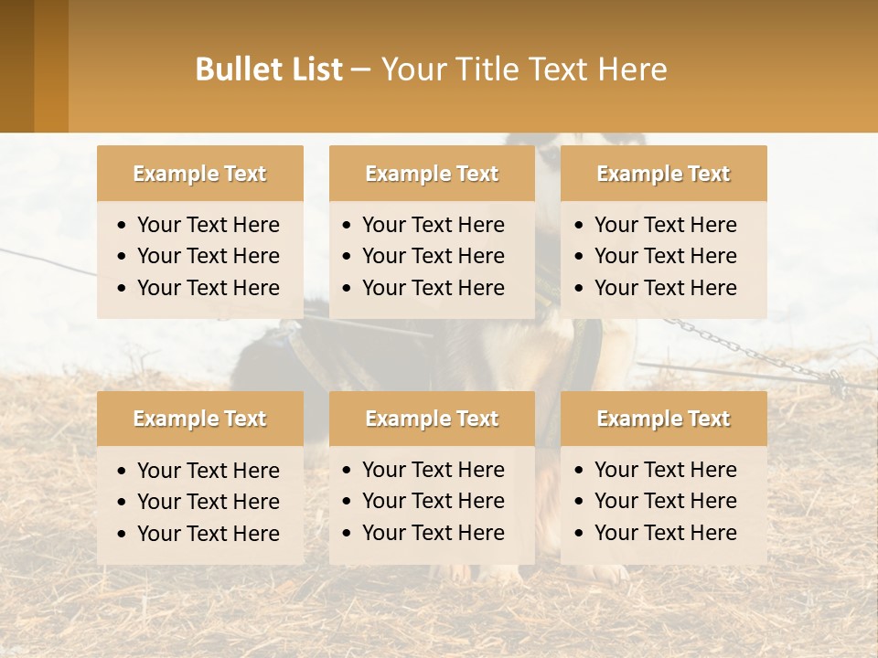 A Husky Dog Is Tied To A Chain PowerPoint Template