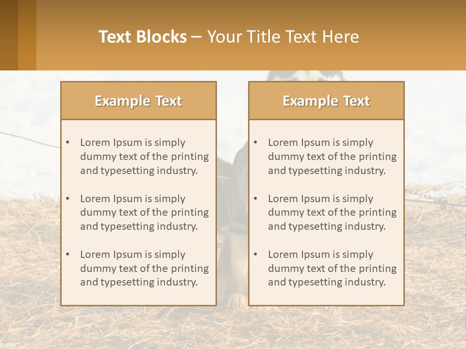 A Husky Dog Is Tied To A Chain PowerPoint Template
