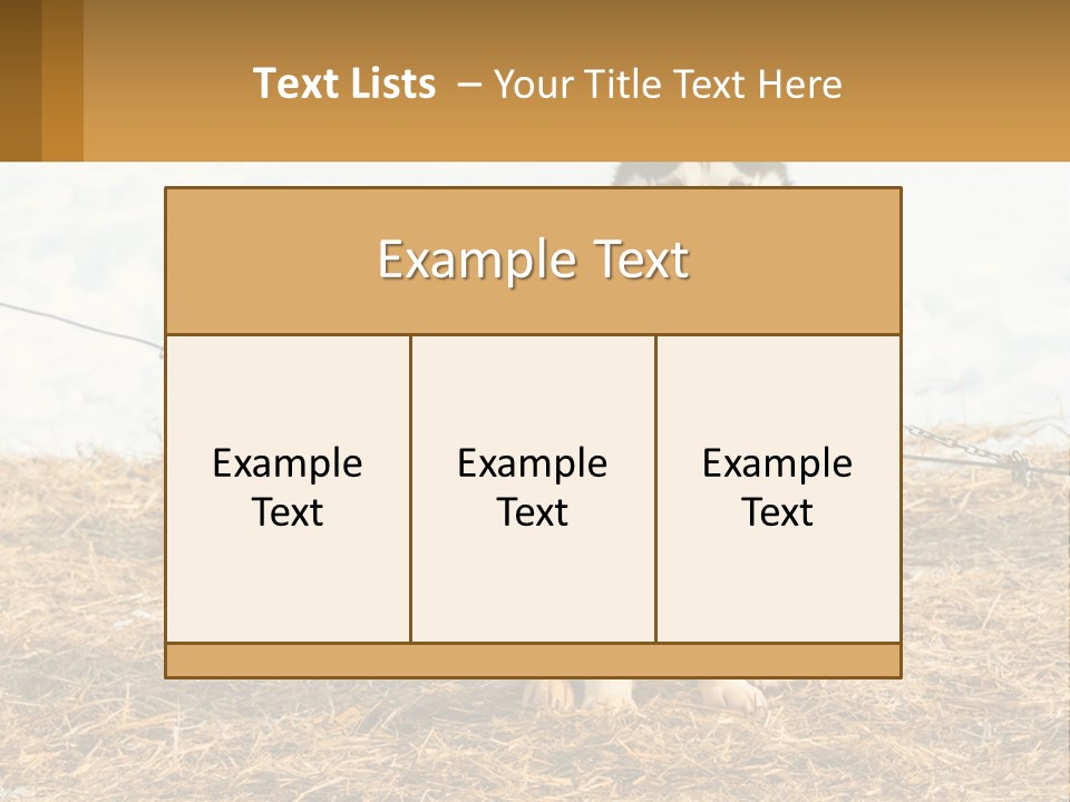 A Husky Dog Is Tied To A Chain PowerPoint Template