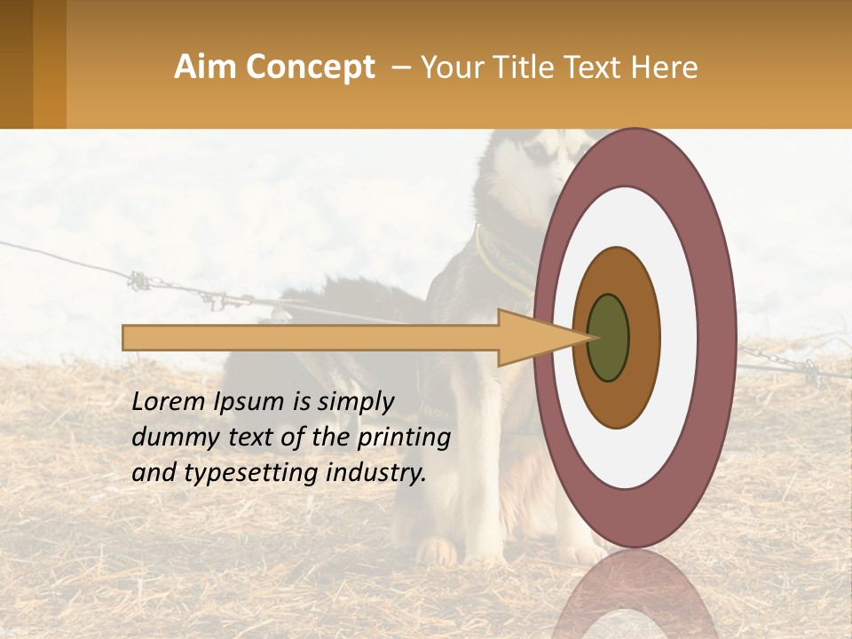 A Husky Dog Is Tied To A Chain PowerPoint Template