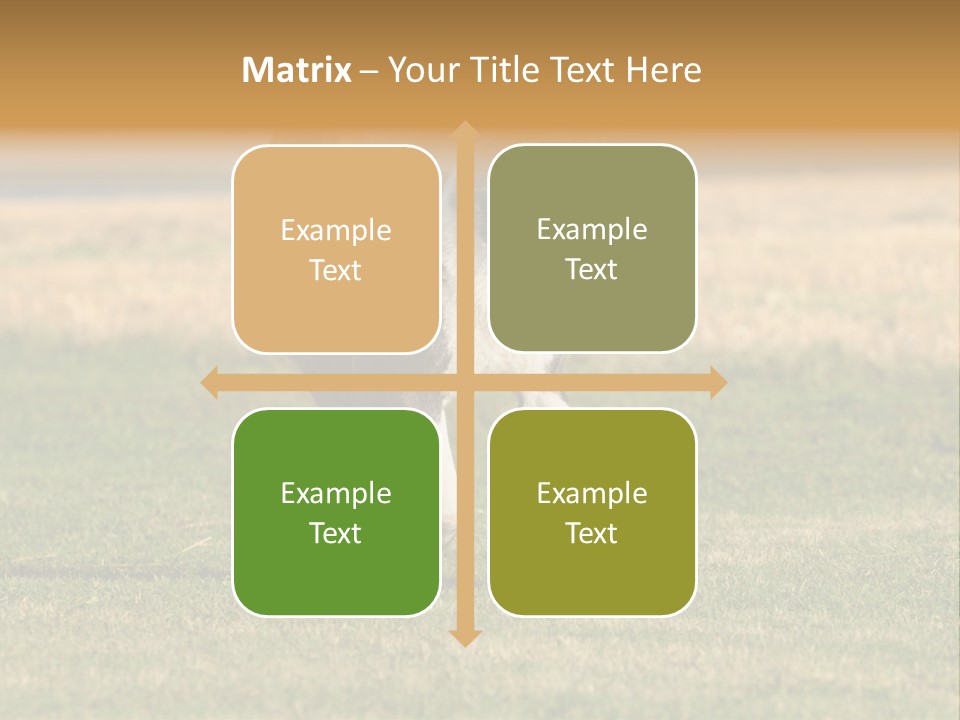 A Black And White Dog Running Across A Field PowerPoint Template