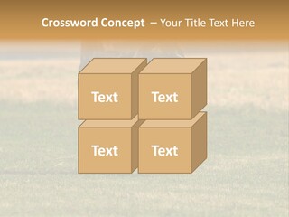 A Black And White Dog Running Across A Field PowerPoint Template