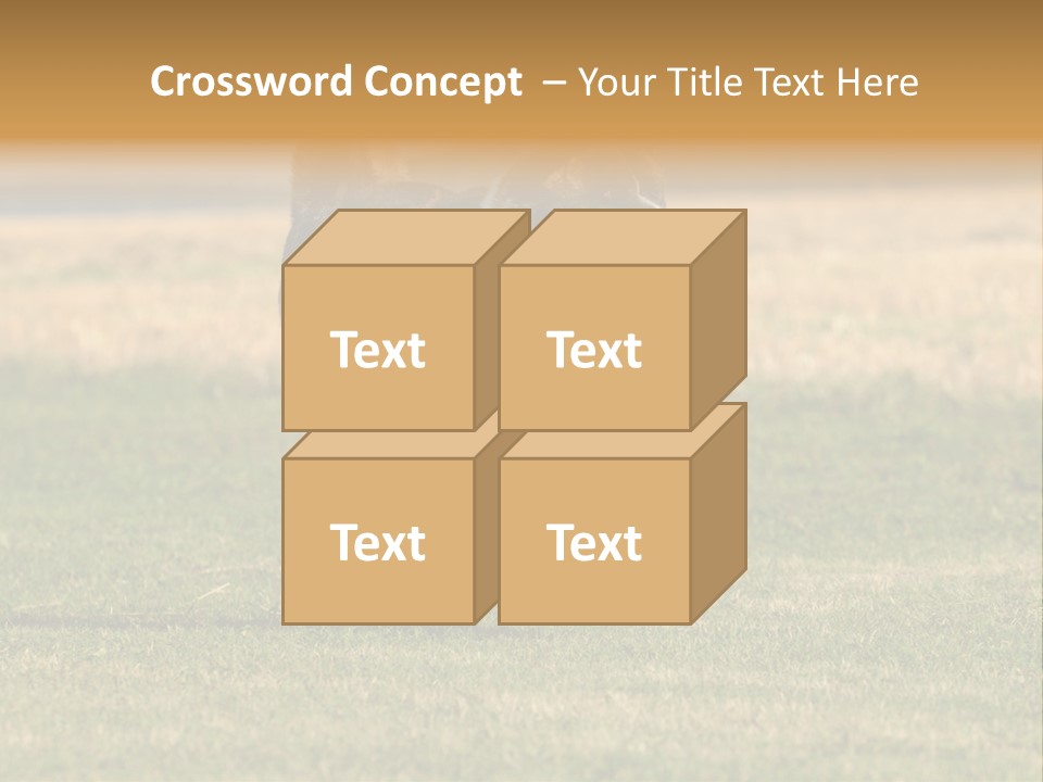 A Black And White Dog Running Across A Field PowerPoint Template