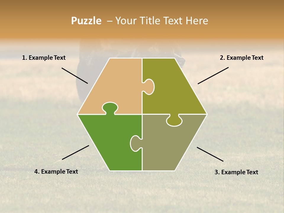 A Black And White Dog Running Across A Field PowerPoint Template