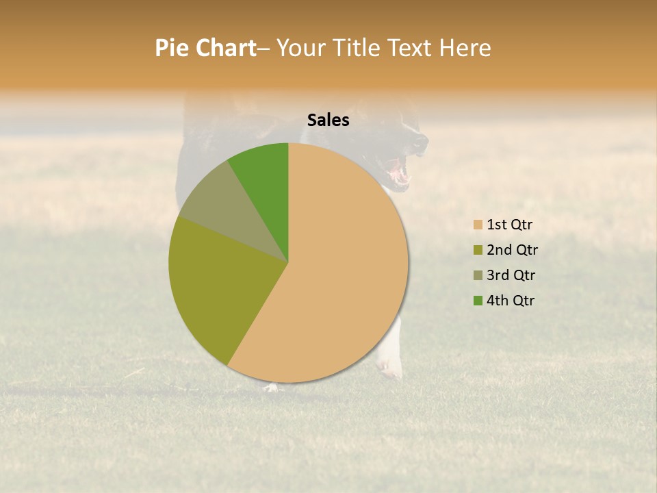 A Black And White Dog Running Across A Field PowerPoint Template