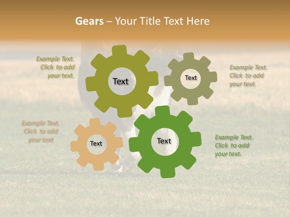 A Black And White Dog Running Across A Field PowerPoint Template