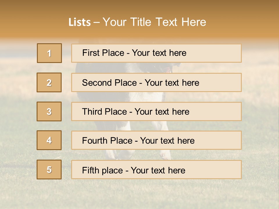 A Black And White Dog Running Across A Field PowerPoint Template