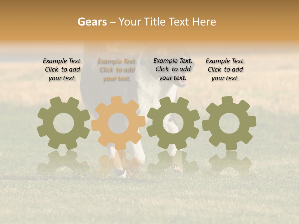 A Black And White Dog Running Across A Field PowerPoint Template