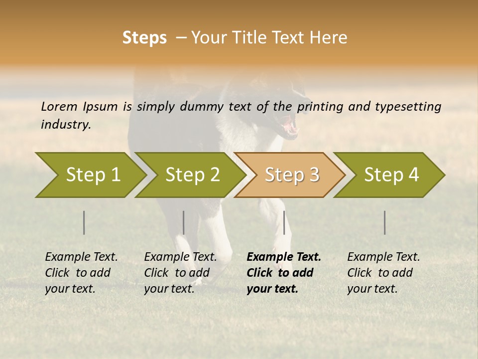 A Black And White Dog Running Across A Field PowerPoint Template