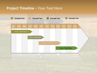 A Black And White Dog Running Across A Field PowerPoint Template