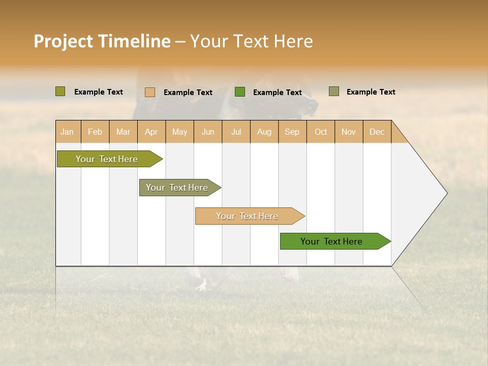 A Black And White Dog Running Across A Field PowerPoint Template