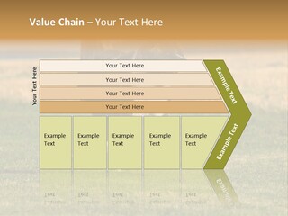 A Black And White Dog Running Across A Field PowerPoint Template