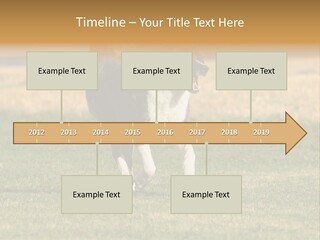 A Black And White Dog Running Across A Field PowerPoint Template