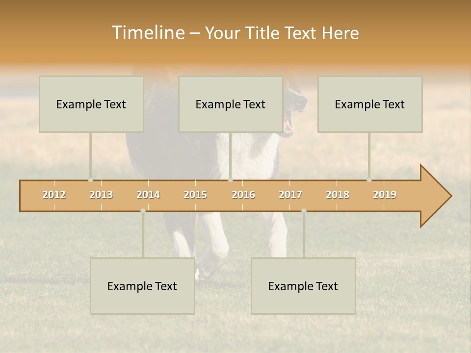 A Black And White Dog Running Across A Field PowerPoint Template