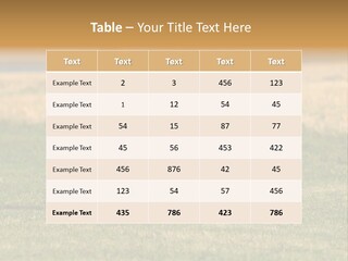 A Black And White Dog Running Across A Field PowerPoint Template