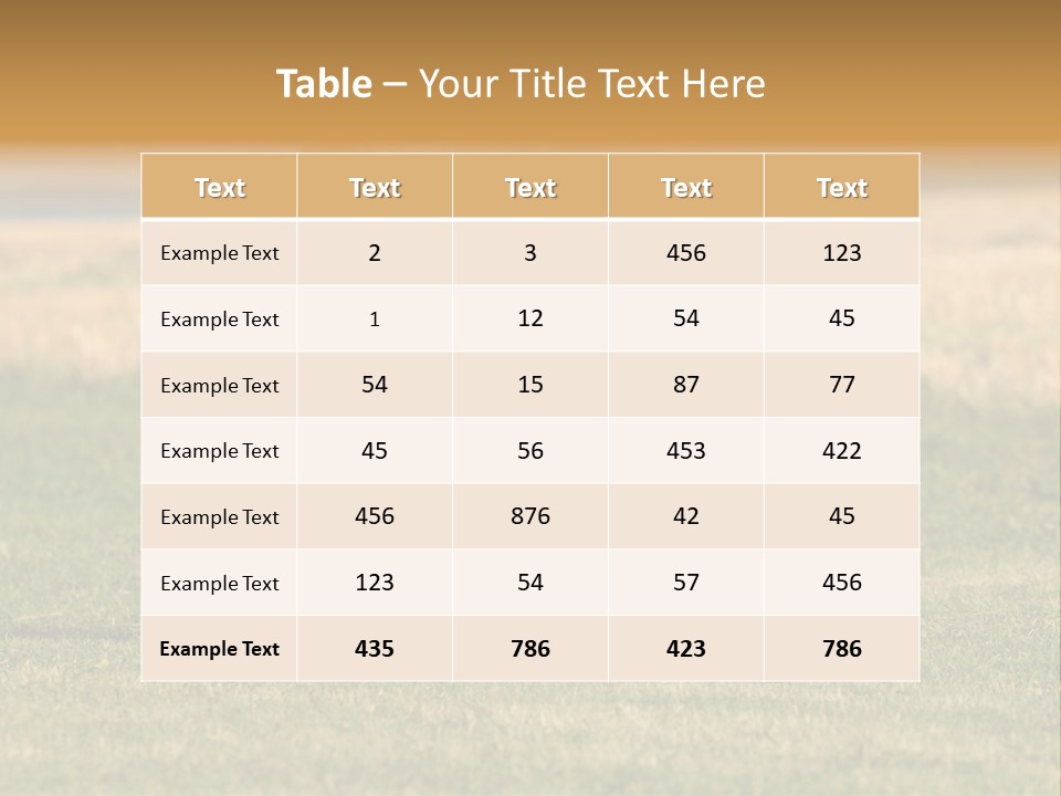 A Black And White Dog Running Across A Field PowerPoint Template