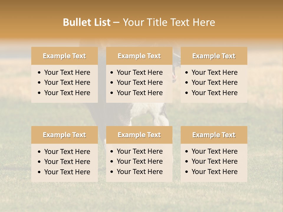 A Black And White Dog Running Across A Field PowerPoint Template