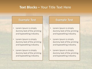 A Black And White Dog Running Across A Field PowerPoint Template
